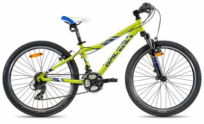 Galaxy Pavo 24